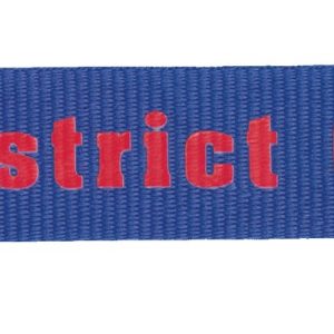 Printed Polyester Lanyard (1")