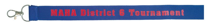 Printed Polyester Lanyard (1")