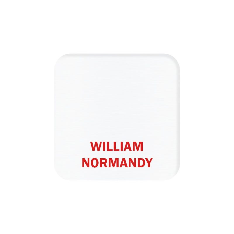 Aspen Metal Name Badge (Custom sized between 3 and 6 sq. in.) - 1
