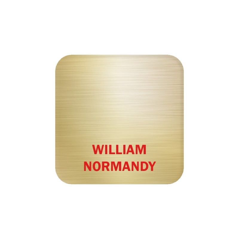 Aspen Metal Name Badge (Custom sized between 3 and 6 sq. in.) - 2