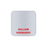 Aspen Metal Name Badge (Custom sized between 3 and 6 sq. in.) - 3