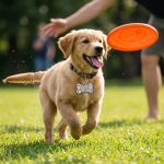 Bone Shaped Aluminum Pet Name Tag - 4