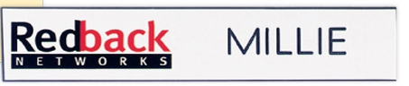 Chicago Plastic Name Badge (Custom sized between 0 and 3 sq. in.)