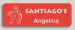 Metal Name Tag w/ Bar Pin (3" x 1")