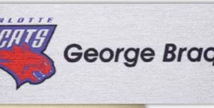 Savannah Express Metal Name Badge (Standard Size 1" x 3")